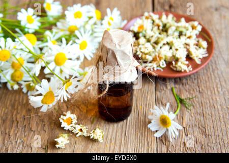 Les marguerites et camomille produits (huile essentielle aroma et fleurs séchées) sur fond de bois rustique Banque D'Images