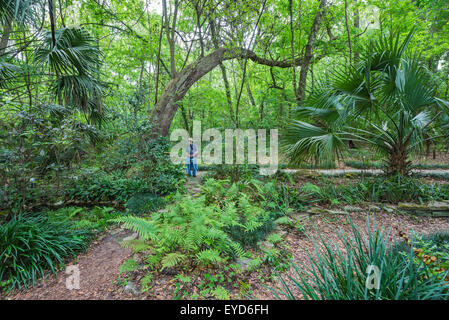 Jardin de printemps annuel Festival à Kanapaha Botanical Gardens de Gainesville, Floride. Banque D'Images