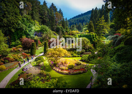 Jardin en contrebas à Butchart Gardens à Victoria, île de Vancouver, Colombie-Britannique, Canada Banque D'Images