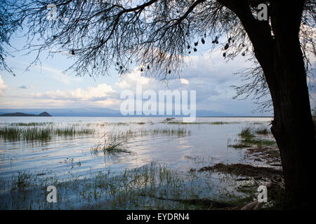 Kenya, vue sur le lac Baringo, Rift Valley Banque D'Images