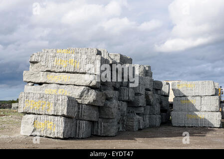 Giberga près de la carrière de calcaire, à l'île de Öland, Kalmar, Suède Banque D'Images