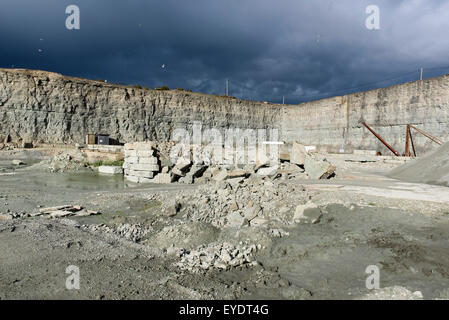 Giberga près de la carrière de calcaire, à l'île de Öland, Kalmar, Suède Banque D'Images