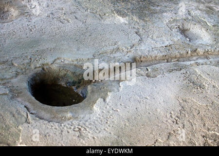 Bol creusé dans un sol en béton pour recueillir l'eau de pluie dans la cellule du docteur Samuel Mudd, Fort Jefferson, Dry Tortugas National Park, Florida, United States of America Banque D'Images