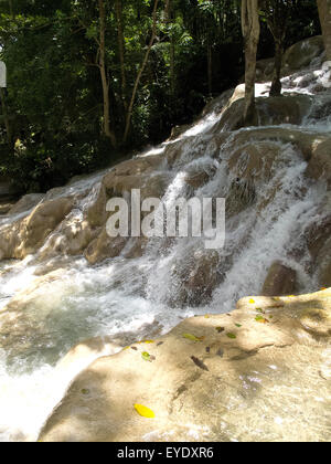 Dunn's River Falls, Ocho Rios, St Ann, Jamaïque Banque D'Images