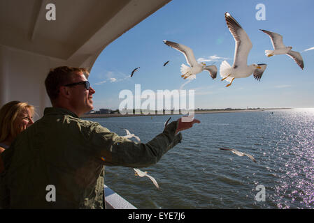 Les mouettes à la suite d'un ferry à la recherche de nourriture Banque D'Images