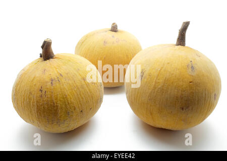 Fruits Santol isolé sur fond blanc Banque D'Images