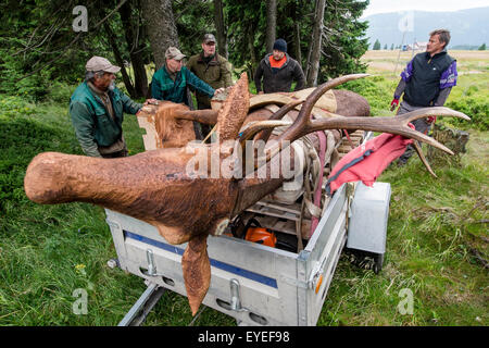 Les touristes qui visitent les Monts des Géants, à la jonction entre la Moravska Bouda et la frontière tchéco-polonaise organise peut voir des sculptures en bois d'animaux en taille réelle. Sur la photo d'une statue d'un cerf à Spindleruv Mlyn, République tchèque, le 28 juillet 2015. (CTK Photo/David Tanecek) Banque D'Images