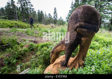 Les touristes qui visitent les Monts des Géants, à la jonction entre la Moravska Bouda et la frontière tchéco-polonaise organise peut voir des sculptures en bois d'animaux en taille réelle. En photo une statue d'un blaireau à Spindleruv Mlyn, République tchèque, le 28 juillet 2015. (CTK Photo/David Tanecek) Banque D'Images