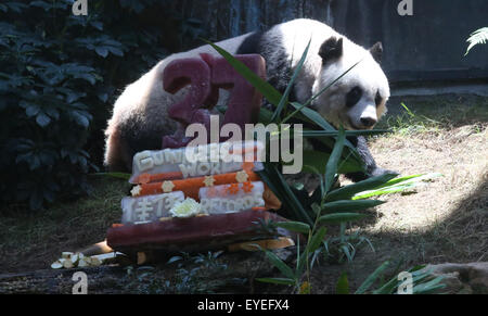 Hongkong. 28 juillet, 2015. Jia Jia, une femelle panda tournant 37 ans, promenades par son gâteau d'anniversaire dans le sud de la Chine, Hong Kong, le 28 juillet 2015. Officiellement reconnu comme le plus ancien jamais 'panda en captivité" et "plus vieux Panda vivant dans capativity' par Guinness World Records, Jia Jia a célébré son 37e anniversaire à Hong Kong Ocean Park et trois autres pandas mardi. Credit : Lyu Xiaowei/Xinhua/Alamy Live News Banque D'Images