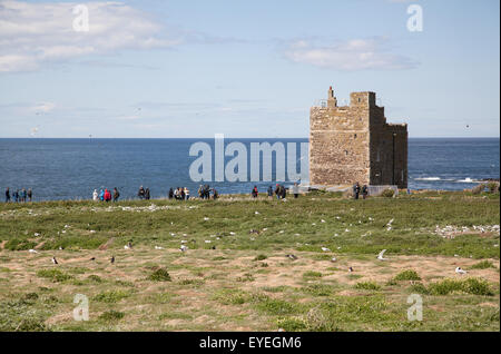 Visiteurs par la tour médiévale Pele sur Inner Farne de Northumberland Royaume-uni Seahouses Banque D'Images