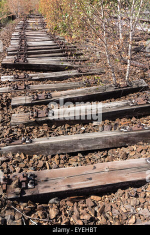 Ancienne voie de chemin de fer, voie ferroviaire, l'abandon et envahi par- Banque D'Images