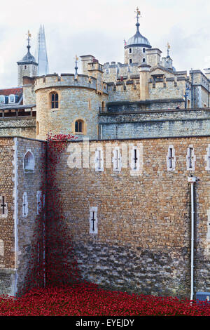 London,sang,pavot a balayé les terres et les mers de red Banque D'Images