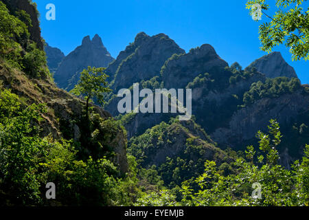 Picos de Europa,Asturies,le nord de l'Espagne Banque D'Images
