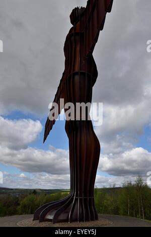 L'Ange du Nord, de la sculpture et de l'Art installation par Andrew Gormley à Gateshead County Durham Banque D'Images