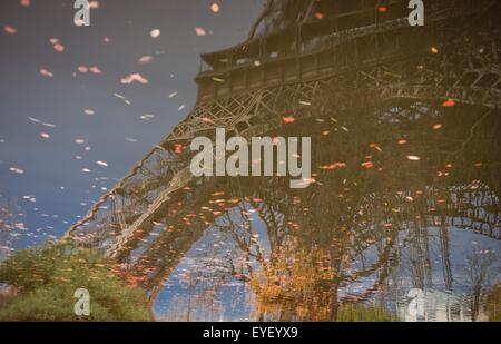 La couleur de l'automne au pied de la Tour Eiffel à Paris 24/11/2012 - Sylvain Leser Banque D'Images