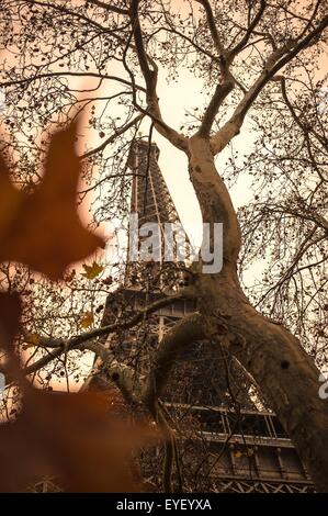 La couleur de l'automne au pied de la Tour Eiffel à Paris 24/11/2012 - Sylvain Leser Banque D'Images