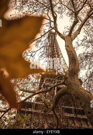 La couleur de l'automne au pied de la Tour Eiffel à Paris 24/11/2012 - Sylvain Leser Banque D'Images