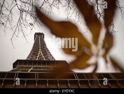 La couleur de l'automne au pied de la Tour Eiffel à Paris 24/11/2012 - Sylvain Leser Banque D'Images