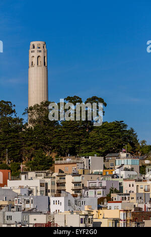 Coit Tower, un site historique de San Francisco, s'élève au-dessus du quartier de Telegraph Hill, San Francisco, Californie Banque D'Images