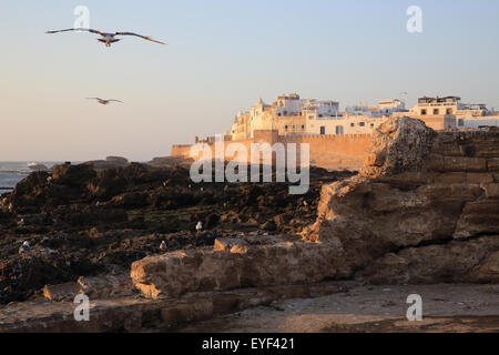 Mouettes survolez la liste de l'UNESCO, ville côtière d'Essaouira, au Maroc, Afrique du Nord Banque D'Images