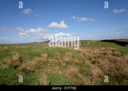 Vue du mur d'Hadrien, de VINDOLANDA ROMAIN Fort & Museum Banque D'Images