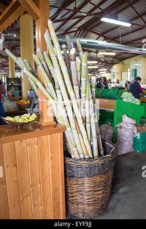 La canne à sucre en vente sur le marché des agriculteurs appelé Mercadillo. Banque D'Images