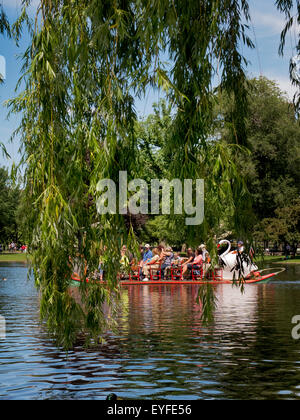 Une branche de saule suspendues frames un cygne bateau dans le Jardin Public de Boston Duck's Pond. Le Swan Boats sont une flotte de double-pontooned les bateaux de plaisance qui ont été en opération depuis 1877 et, depuis, devenue une icône culturelle pour la ville Banque D'Images