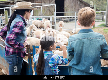 Femme avec fille(6-7) et boy(10-11) à au troupeau de moutons Banque D'Images