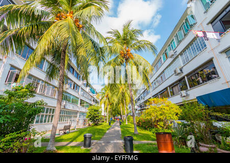 Les immeubles à appartements dans le quartier de Tiong Bahru de Singapour. Banque D'Images