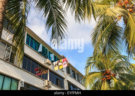 Les immeubles à appartements dans le quartier de Tiong Bahru de Singapour. Banque D'Images