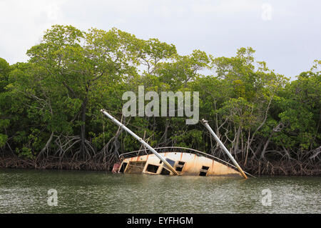 Un yacht abandonné et retroussé dans Dickson Inlet, Port Douglas, endommagé par le cyclone tropical sévère Yasi en 2011 Banque D'Images