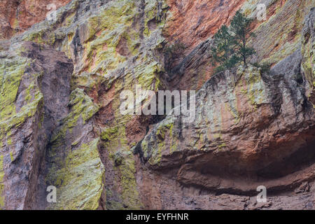 Les falaises rocheuses colorées dans Cave Creek Canyon, Arizona, Portail Banque D'Images