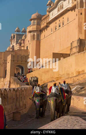 Les éléphants monter ou descendre une voie à Fort Amber, Amer, Jaipur, Inde Banque D'Images