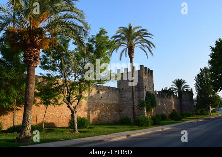 Vieux Mur de la ville d'Alcudia à Majorque protéger la ville contre les attaques de pirates. Banque D'Images