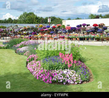 Ball Colegrave jardins ouverts jour 2015. Adderbury, Banbury, Oxfordshire. L'Angleterre Banque D'Images