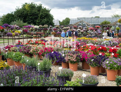 Ball Colegrave jardins ouverts jour 2015. Adderbury, Banbury, Oxfordshire. L'Angleterre Banque D'Images