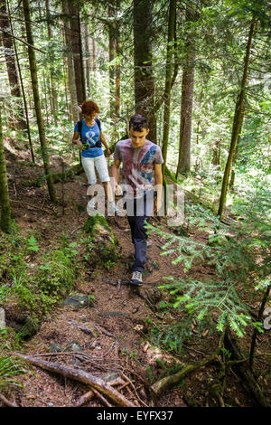 Famille de randonneurs sur un sentier de la forêt de sapins dans les montagnes Banque D'Images