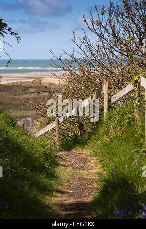 Royaume-uni, Pays de Galles, Gwynedd, Aberdovey, stylo y dwr, chemin surélevé au-dessus de la plage et des dunes Banque D'Images