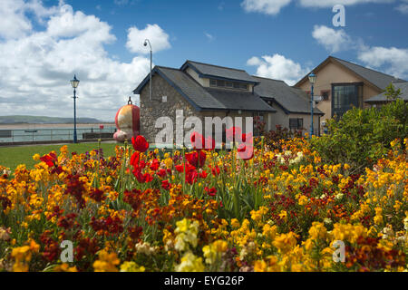 Royaume-uni, Pays de Galles, Gwynedd, Aberdovey, plantation de fleurs le long mur d'harbourside Banque D'Images