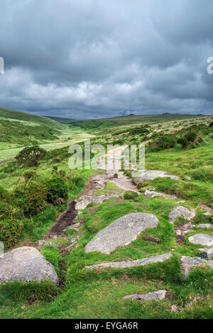 Sentier de deux ponts à Wistman's Wood, Dartmoor, dans le Devon, England, UK Banque D'Images