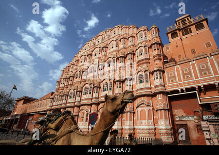 Panier chameau passant Hawa Mahal City Palace, Jaipur plus distinctif monument, Jaipur, Rajasthan, Inde. Banque D'Images