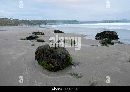Un jour gris sur la plage de Whitesands Bay, St David's, Pembrokeshire Wales UK Banque D'Images