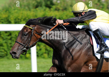 Hambourg, Allemagne, horse and jockey lors d'une course de galop en action Banque D'Images