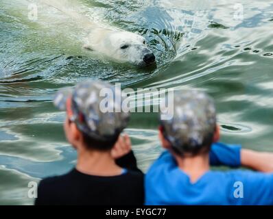 Berlin, Allemagne. 29 juillet, 2015. Un ours blanc nage dans son boîtier comme les enfants l'observent dans le parc animalier de Friedrichsfelde, Berlin, Allemagne, 29 juillet 2015. Photo : Paul Zinken/dpa/Alamy Live News Banque D'Images