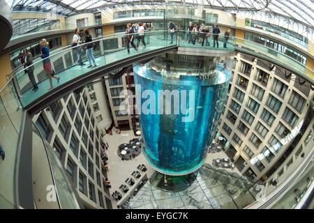 Berlin, Allemagne. 29 juillet, 2015. Vue de l'AquaDom, le plus grand aquarium cylindrique autoportant dans le monde situé dans Berlin, Allemagne, 29 juillet 2015. Le récipient en verre acrylique dans le Sea Life Center permet aux visiteurs de voyager à travers le réservoir de 22 mètres de haut qui a une épaisseur maximale de 22 cm. Plus de 1500 poissons vivent dans un million de litres d'eau. Photo:JOERG CARSTENSEN/dpa/Alamy Live News Banque D'Images