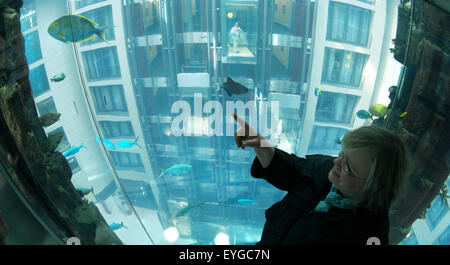 Berlin, Allemagne. 29 juillet, 2015. Vue depuis l'intérieur de l'AquaDom, le plus grand aquarium cylindrique autoportant dans le monde situé dans Berlin, Allemagne, 29 juillet 2015. Le récipient en verre acrylique dans le Sea Life Center permet aux visiteurs de voyager à travers le réservoir de 22 mètres de haut qui a une épaisseur maximale de 22 cm. Plus de 1500 poissons vivent dans un million de litres d'eau. Photo:JOERG CARSTENSEN/dpa/Alamy Live News Banque D'Images