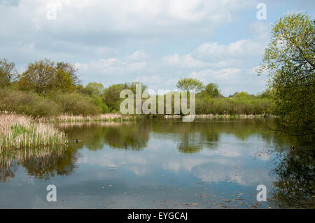 Martin's Pond dans Wollaton, Lancashire England UK Banque D'Images