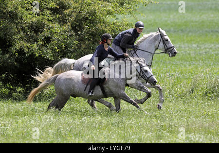 Oberoderwitz, Allemagne, femme à cheval sur leurs chevaux au galop autour de la bet Banque D'Images