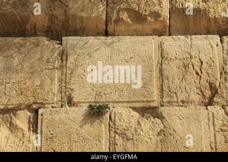 Une inscription en hébreu sur l'une des pierres du Mur Occidental à Jérusalem le Parc Archéologique Banque D'Images