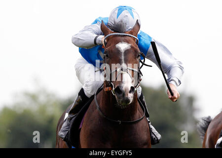 Hambourg, Allemagne, horse and jockey lors d'une course de galop en action Banque D'Images